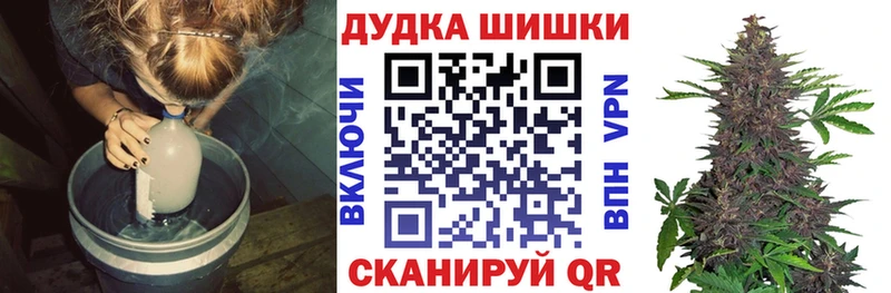 купить наркотики сайты  Петрозаводск  Каннабис ГИДРОПОН 